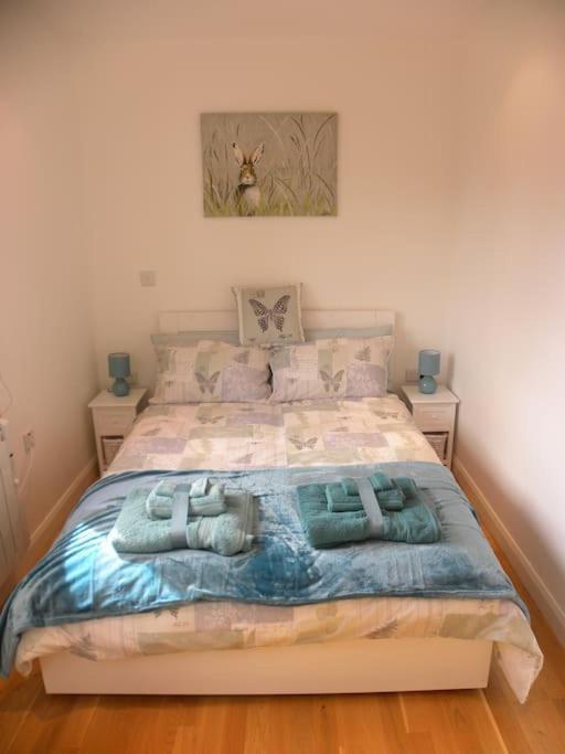 Oakey Orchard - Cosy Apartment In Tamar Valley, Cornwall Saint Dominick Ngoại thất bức ảnh