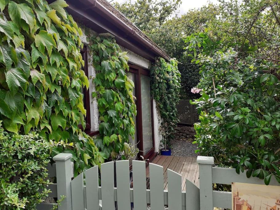 Oakey Orchard - Cosy Apartment In Tamar Valley, Cornwall Saint Dominick Ngoại thất bức ảnh