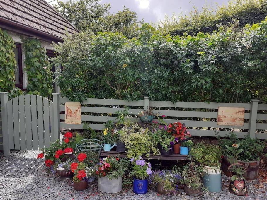 Oakey Orchard - Cosy Apartment In Tamar Valley, Cornwall Saint Dominick Ngoại thất bức ảnh